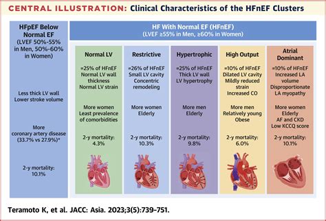 normal ef in 24 yo